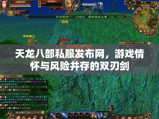 天龙八部私服发布网，游戏情怀与风险并存的双刃剑