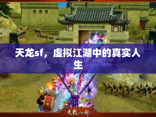 天龙sf，虚拟江湖中的真实人生