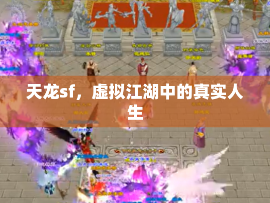 天龙sf，虚拟江湖中的真实人生