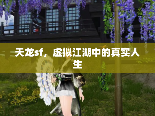 天龙sf，虚拟江湖中的真实人生