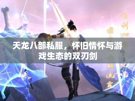 天龙八部私服，怀旧情怀与游戏生态的双刃剑