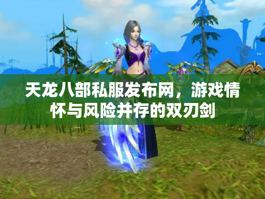 天龙八部私服发布网，游戏情怀与风险并存的双刃剑