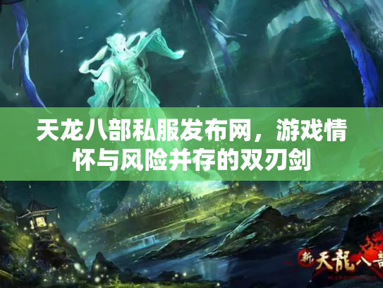 天龙八部私服发布网，游戏情怀与风险并存的双刃剑