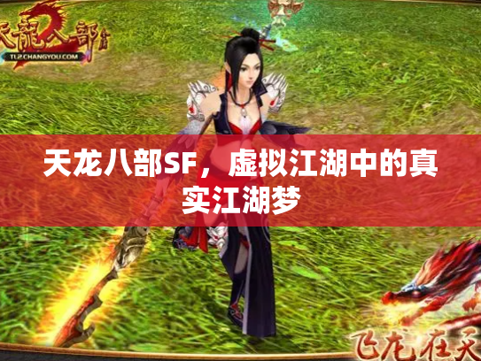 天龙八部SF，虚拟江湖中的真实江湖梦