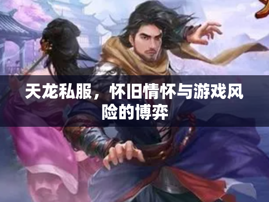 天龙私服，怀旧情怀与游戏风险的博弈
