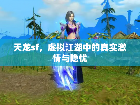 天龙sf，虚拟江湖中的真实激情与隐忧
