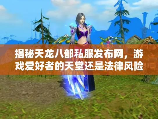 揭秘天龙八部私服发布网，游戏爱好者的天堂还是法律风险的深渊？