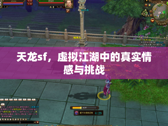 天龙sf，虚拟江湖中的真实情感与挑战