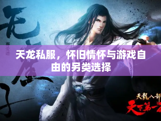 天龙私服，怀旧情怀与游戏自由的另类选择