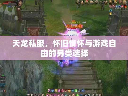 天龙私服，怀旧情怀与游戏自由的另类选择