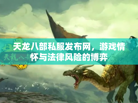 天龙八部私服发布网，游戏情怀与法律风险的博弈