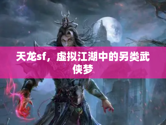 天龙sf，虚拟江湖中的另类武侠梦