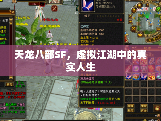 天龙八部SF，虚拟江湖中的真实人生