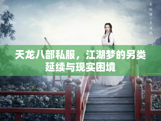 天龙八部私服，江湖梦的另类延续与现实困境