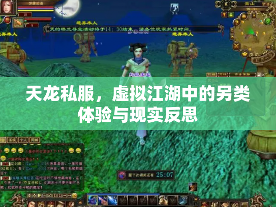 天龙私服，虚拟江湖中的另类体验与现实反思