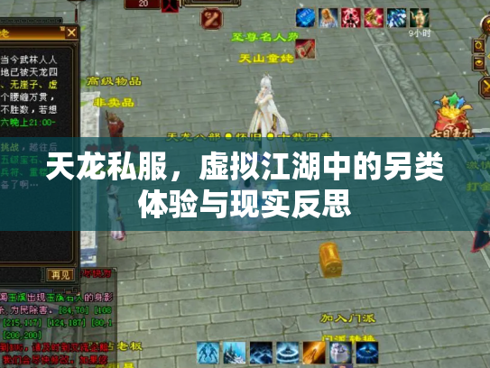 天龙私服，虚拟江湖中的另类体验与现实反思