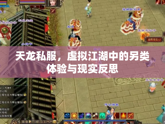 天龙私服，虚拟江湖中的另类体验与现实反思