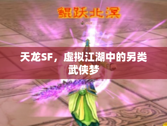 天龙SF，虚拟江湖中的另类武侠梦