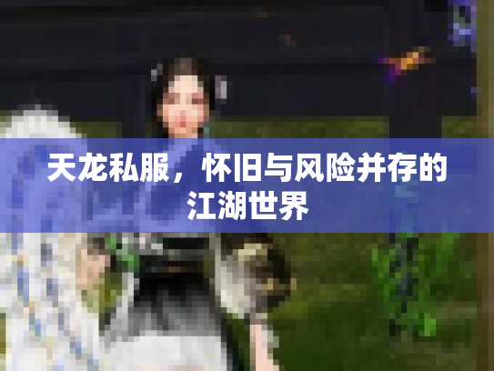 天龙私服，怀旧与风险并存的江湖世界