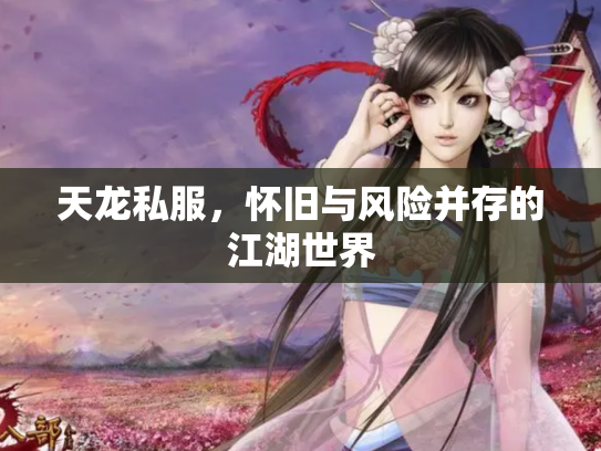 天龙私服，怀旧与风险并存的江湖世界
