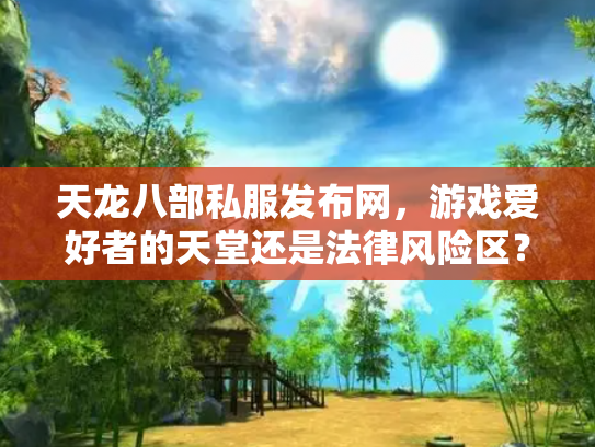 天龙八部私服发布网，游戏爱好者的天堂还是法律风险区？