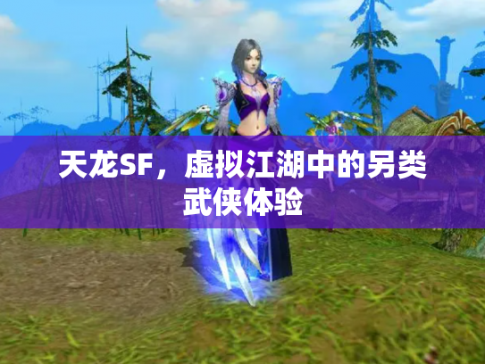 天龙SF，虚拟江湖中的另类武侠体验