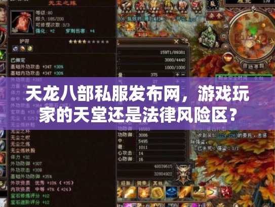 天龙八部私服发布网，游戏玩家的天堂还是法律风险区？