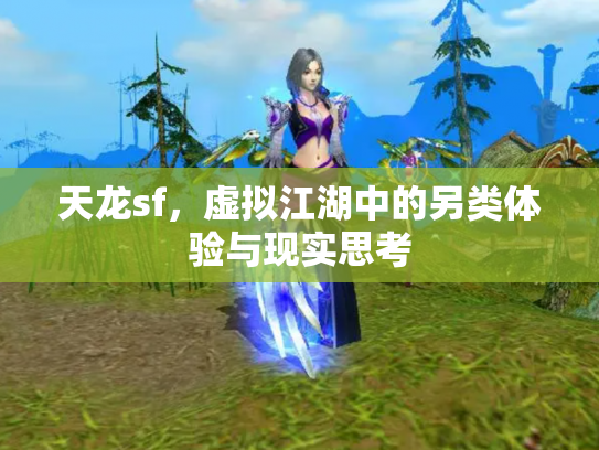 天龙sf，虚拟江湖中的另类体验与现实思考