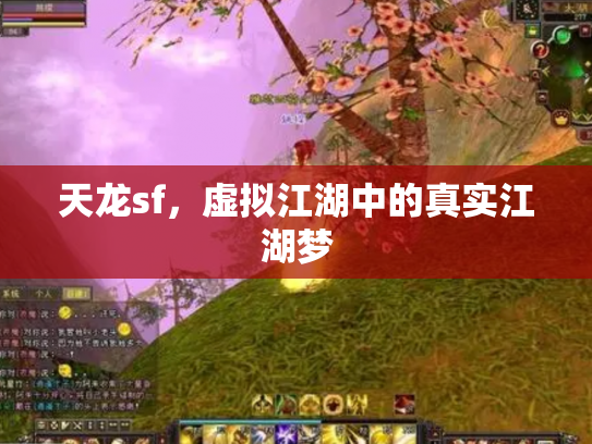 天龙sf，虚拟江湖中的真实江湖梦