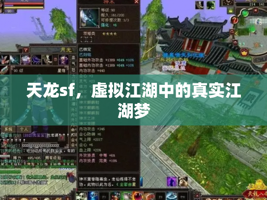 天龙sf，虚拟江湖中的真实江湖梦