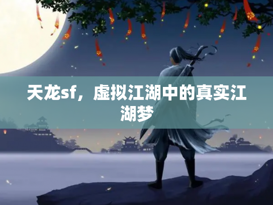 天龙sf，虚拟江湖中的真实江湖梦