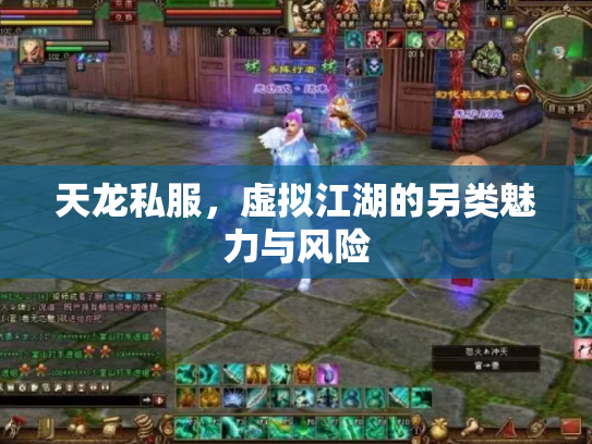 天龙私服，虚拟江湖的另类魅力与风险