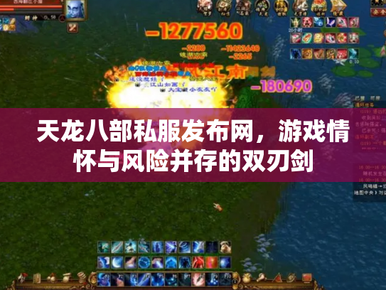 天龙八部私服发布网，游戏情怀与风险并存的双刃剑