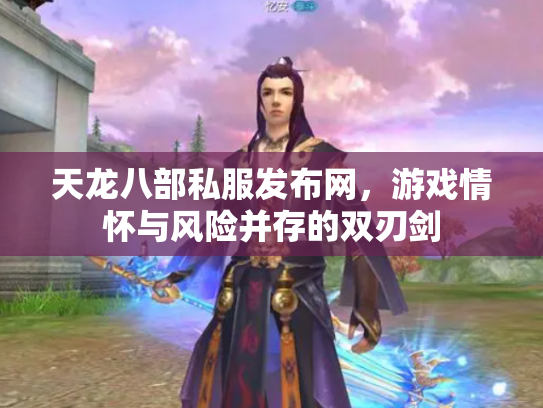 天龙八部私服发布网，游戏情怀与风险并存的双刃剑