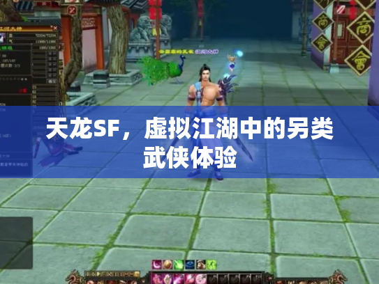 天龙SF，虚拟江湖中的另类武侠体验