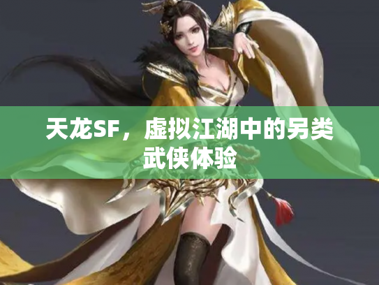天龙SF，虚拟江湖中的另类武侠体验