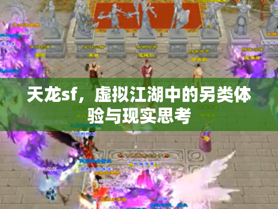 天龙sf，虚拟江湖中的另类体验与现实思考