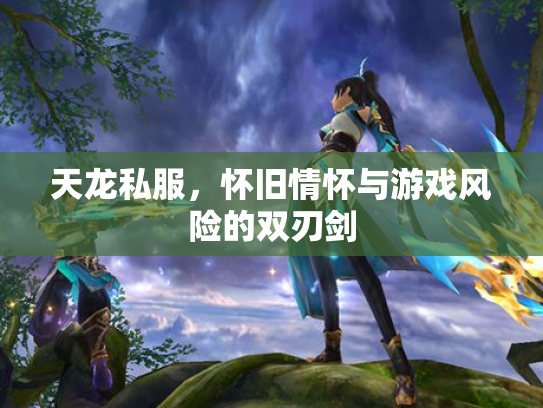 天龙私服，怀旧情怀与游戏风险的双刃剑