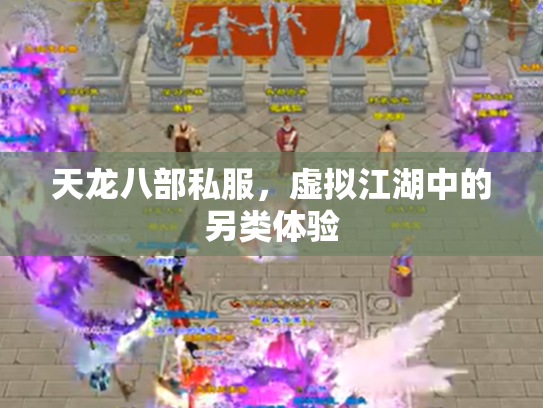 天龙八部私服，虚拟江湖中的另类体验