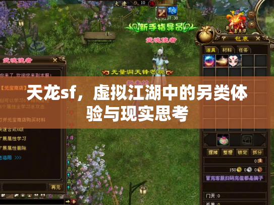 天龙sf，虚拟江湖中的另类体验与现实思考