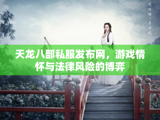 天龙八部私服发布网，游戏情怀与法律风险的博弈