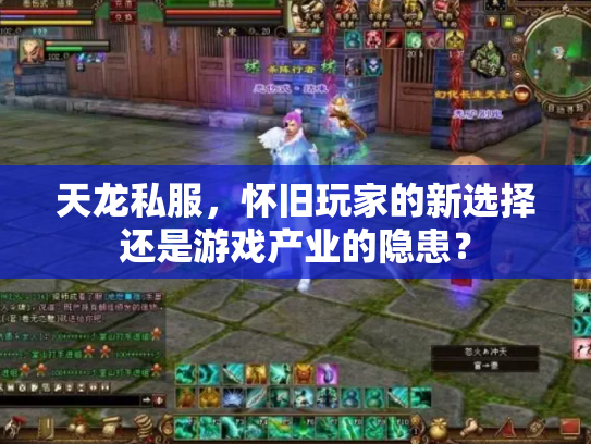 天龙私服，怀旧玩家的新选择还是游戏产业的隐患？