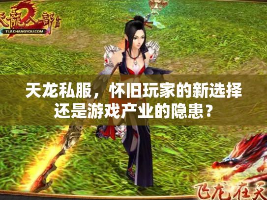 天龙私服，怀旧玩家的新选择还是游戏产业的隐患？