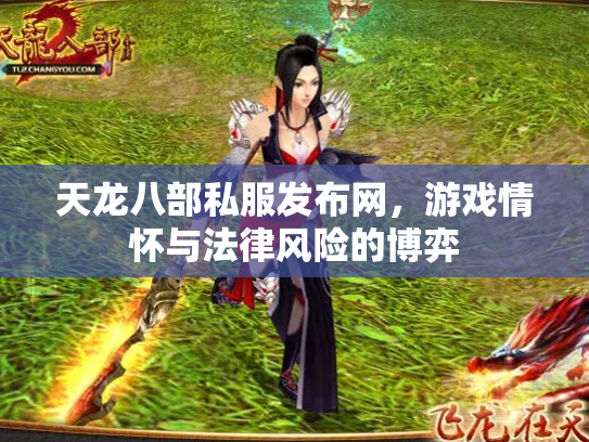 天龙八部私服发布网，游戏情怀与法律风险的博弈