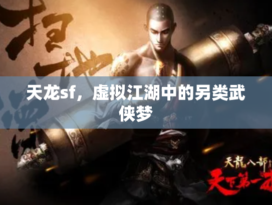 天龙sf，虚拟江湖中的另类武侠梦