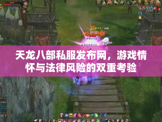 天龙八部私服发布网，游戏情怀与法律风险的双重考验