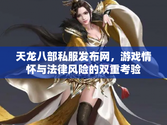 天龙八部私服发布网，游戏情怀与法律风险的双重考验