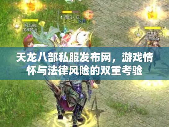 天龙八部私服发布网，游戏情怀与法律风险的双重考验