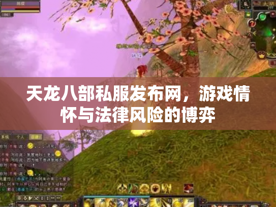 天龙八部私服发布网，游戏情怀与法律风险的博弈