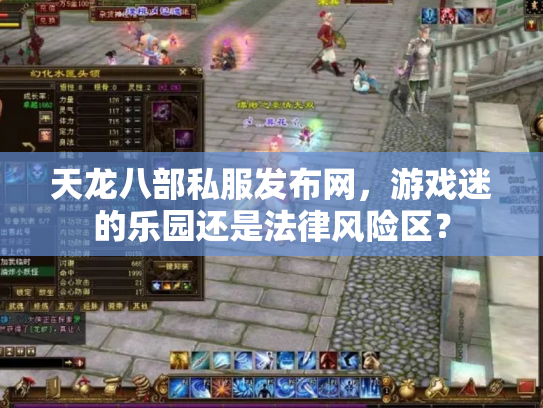 天龙八部私服发布网，游戏迷的乐园还是法律风险区？